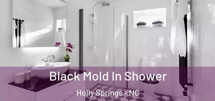 Black Mold In Shower Holly Springs - NC