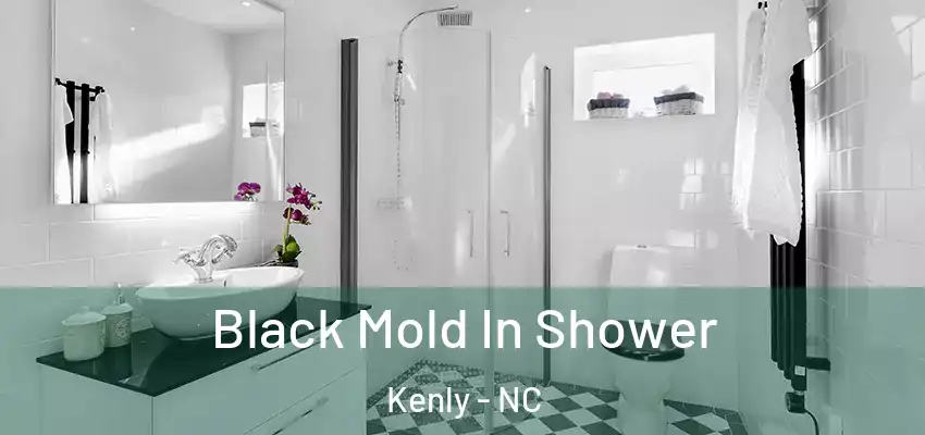  Black Mold In Shower Kenly - NC