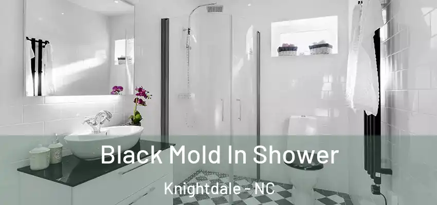 Black Mold In Shower Knightdale - NC