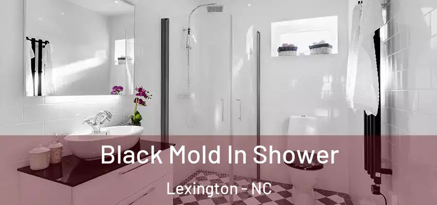  Black Mold In Shower Lexington - NC