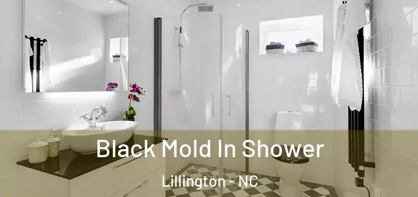  Black Mold In Shower Lillington - NC