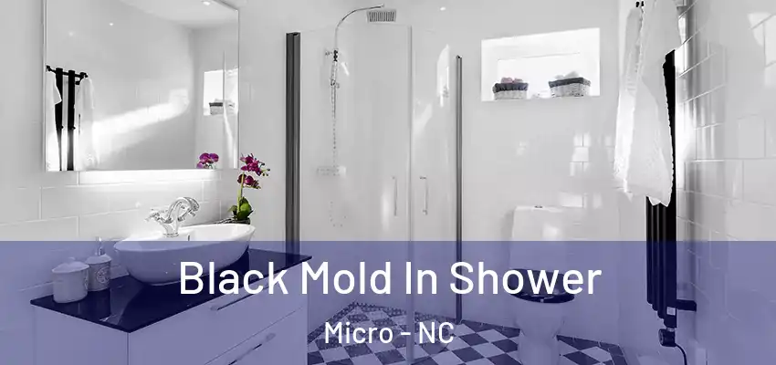  Black Mold In Shower Micro - NC