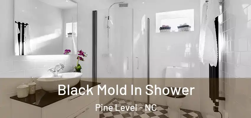 Black Mold In Shower Pine Level - NC
