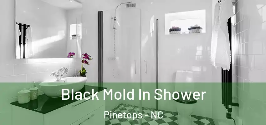 Black Mold In Shower Pinetops - NC