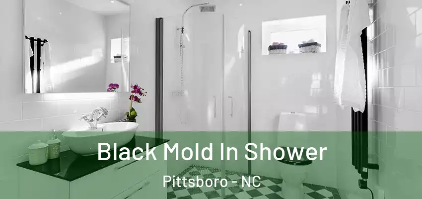 Black Mold In Shower Pittsboro - NC