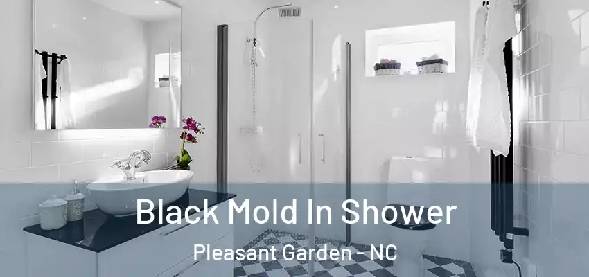  Black Mold In Shower Pleasant Garden - NC