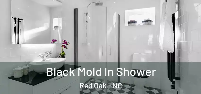  Black Mold In Shower Red Oak - NC