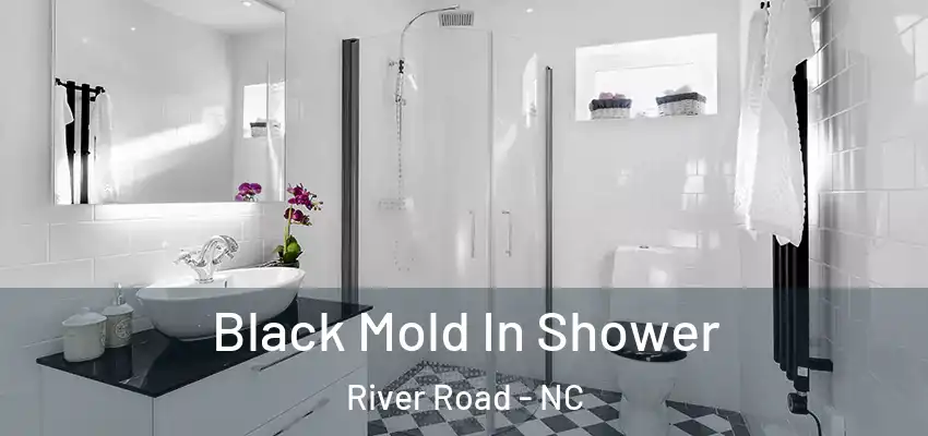  Black Mold In Shower River Road - NC