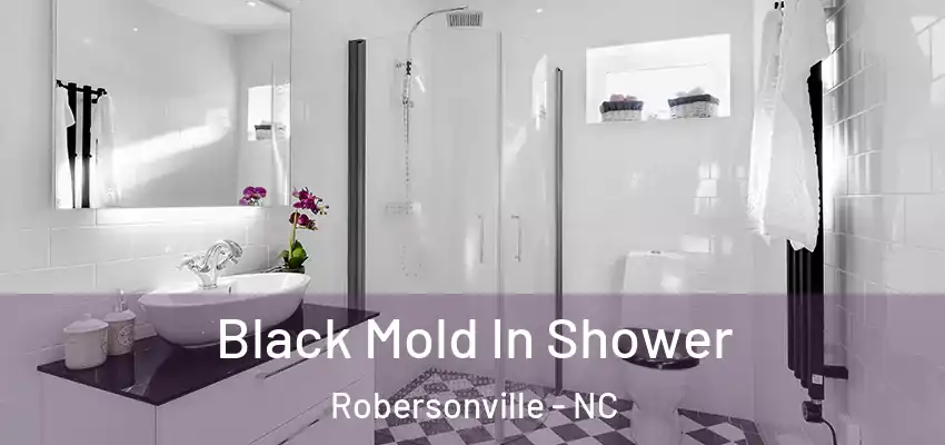 Black Mold In Shower Robersonville - NC