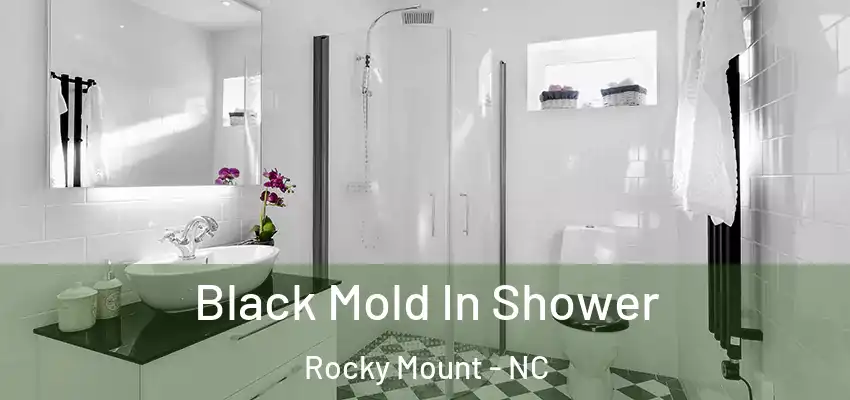 Black Mold In Shower Rocky Mount - NC