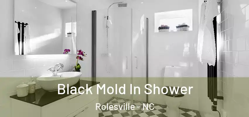 Black Mold In Shower Rolesville - NC