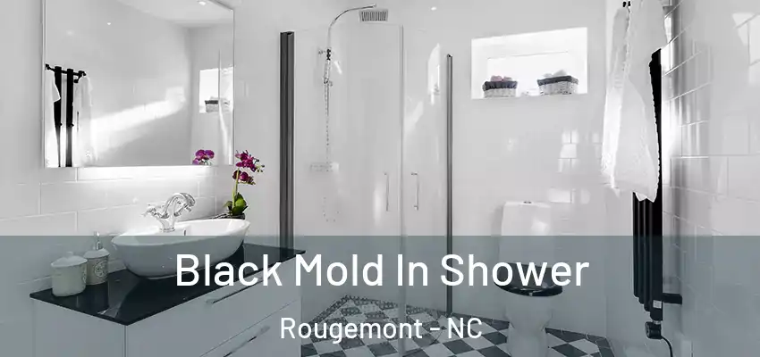 Black Mold In Shower Rougemont - NC