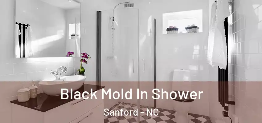 Black Mold In Shower Sanford - NC