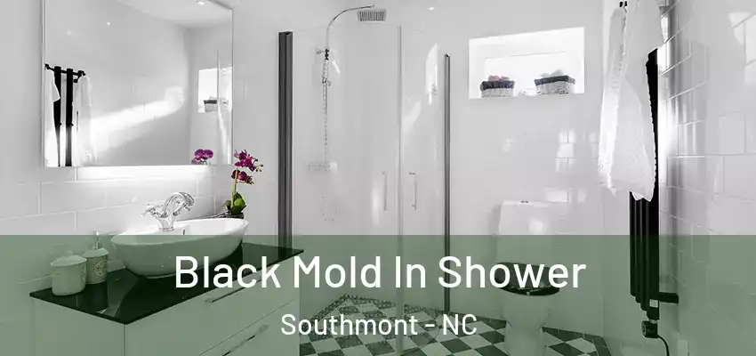 Black Mold In Shower Southmont - NC