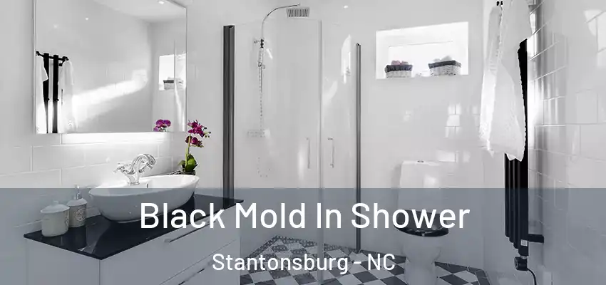  Black Mold In Shower Stantonsburg - NC