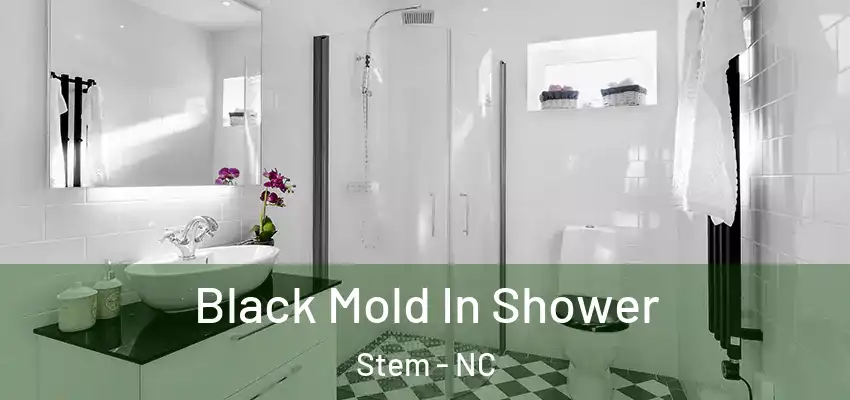 Black Mold In Shower Stem - NC
