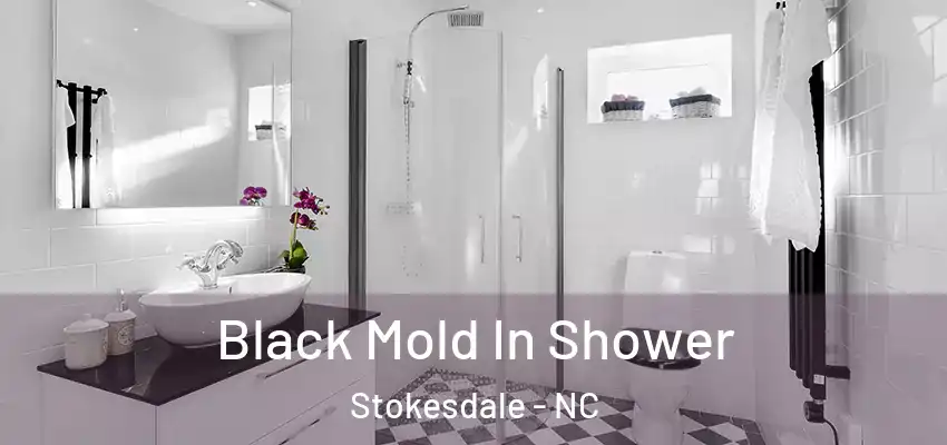 Black Mold In Shower Stokesdale - NC