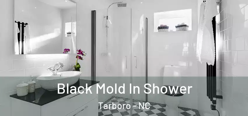 Black Mold In Shower Tarboro - NC