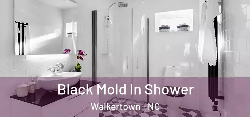  Black Mold In Shower Walkertown - NC