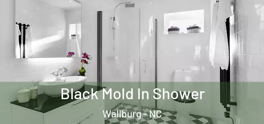  Black Mold In Shower Wallburg - NC