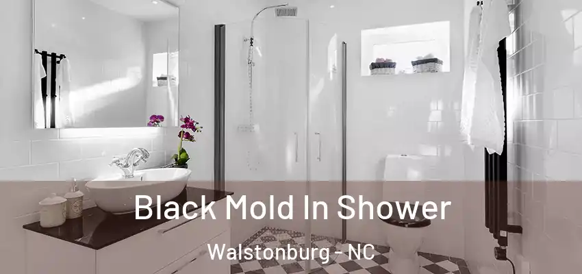 Black Mold In Shower Walstonburg - NC
