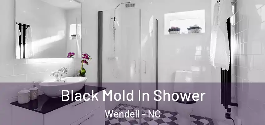  Black Mold In Shower Wendell - NC
