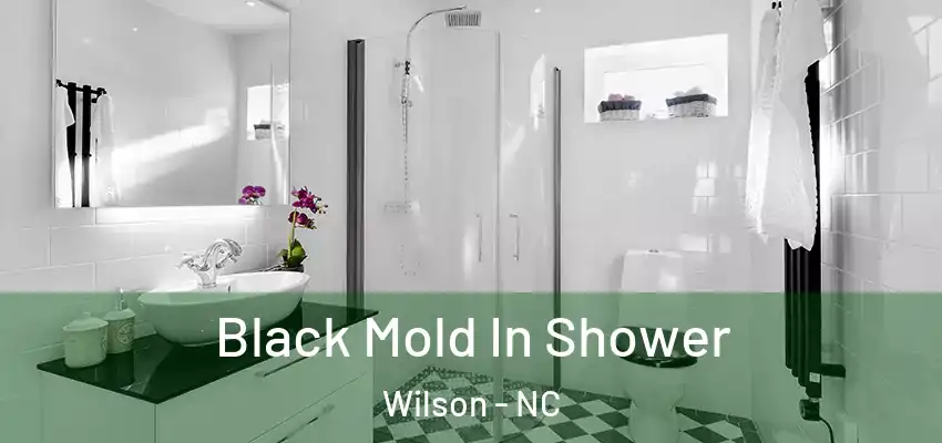 Black Mold In Shower Wilson - NC