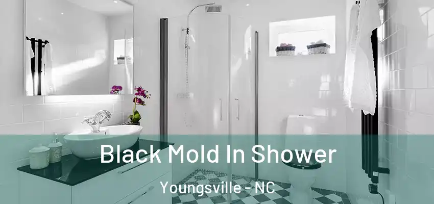 Black Mold In Shower Youngsville - NC