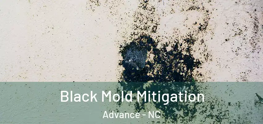 Black Mold Mitigation Advance - NC
