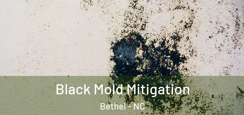  Black Mold Mitigation Bethel - NC