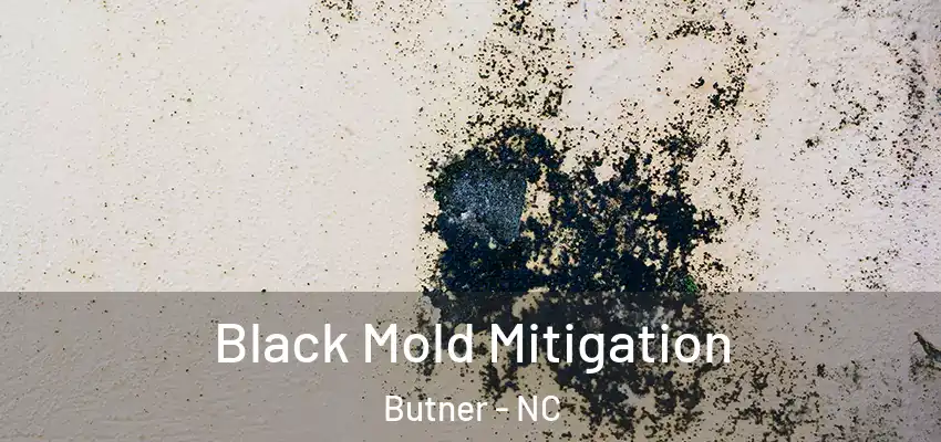 Black Mold Mitigation Butner - NC