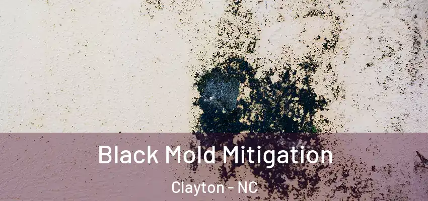  Black Mold Mitigation Clayton - NC