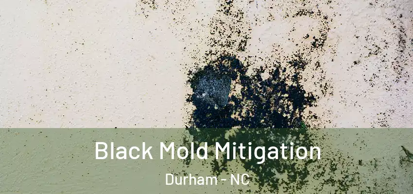 Black Mold Mitigation Durham - NC