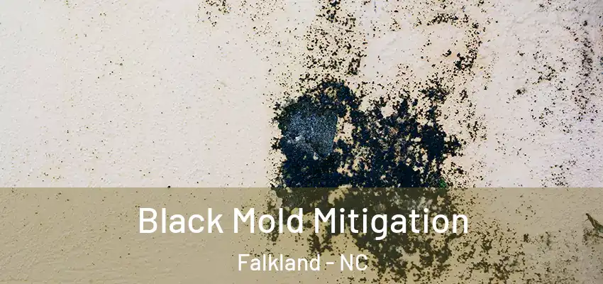 Black Mold Mitigation Falkland - NC