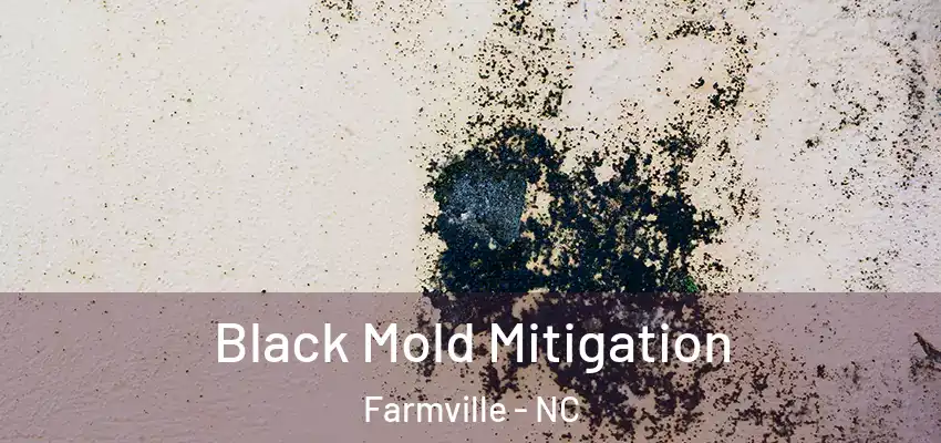  Black Mold Mitigation Farmville - NC