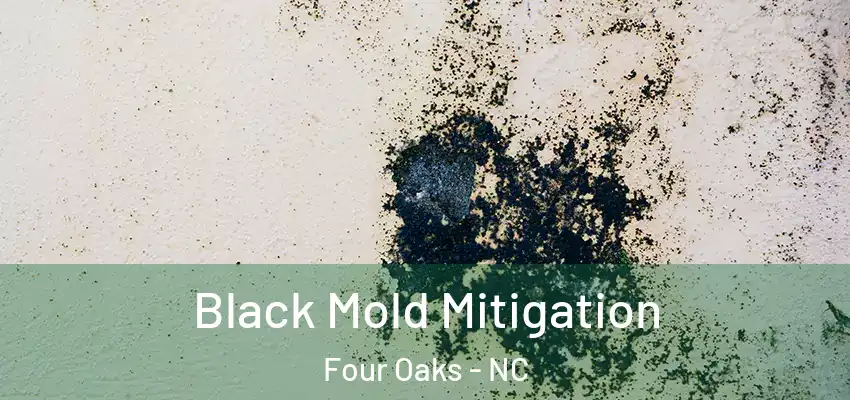  Black Mold Mitigation Four Oaks - NC