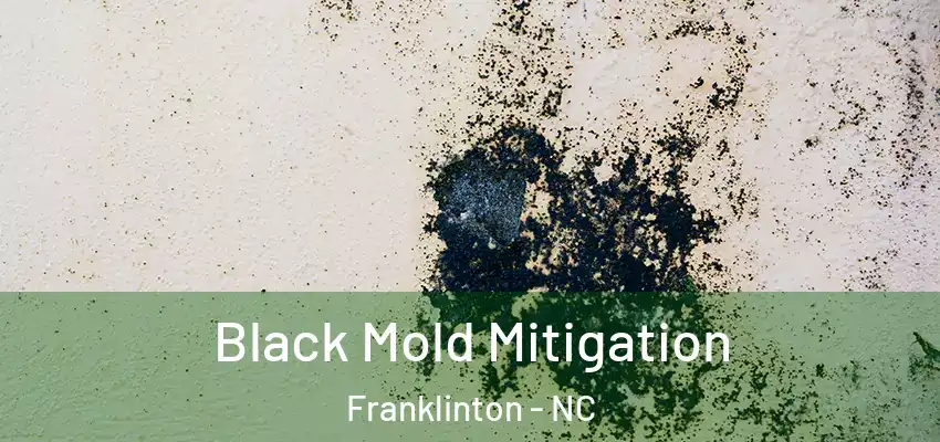  Black Mold Mitigation Franklinton - NC