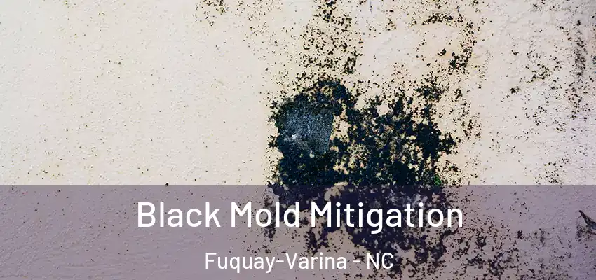 Black Mold Mitigation Fuquay-Varina - NC