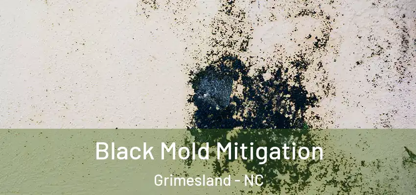  Black Mold Mitigation Grimesland - NC