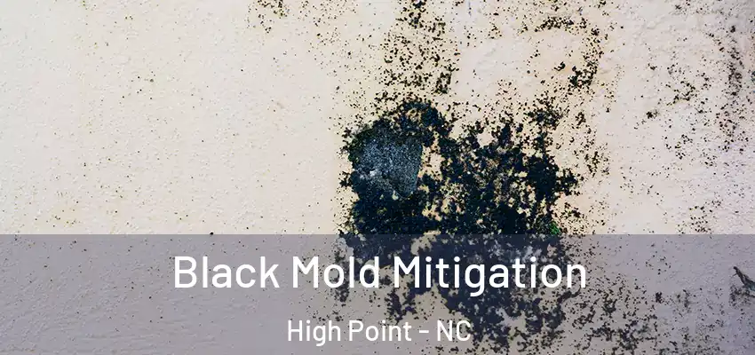  Black Mold Mitigation High Point - NC