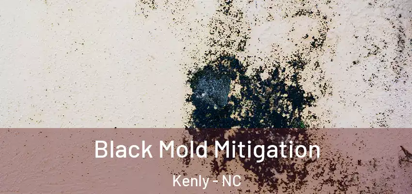  Black Mold Mitigation Kenly - NC