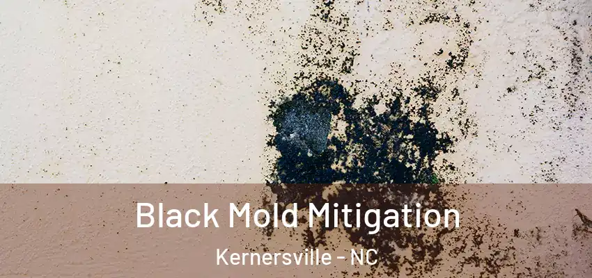  Black Mold Mitigation Kernersville - NC