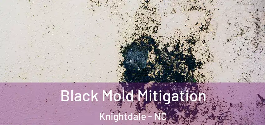  Black Mold Mitigation Knightdale - NC