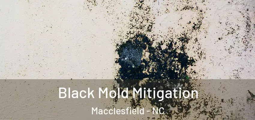 Black Mold Mitigation Macclesfield - NC