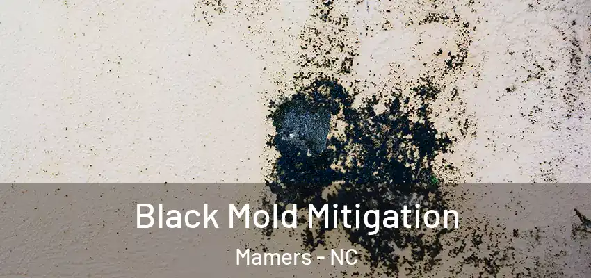 Black Mold Mitigation Mamers - NC