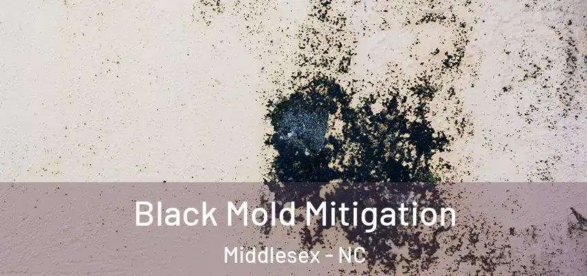  Black Mold Mitigation Middlesex - NC
