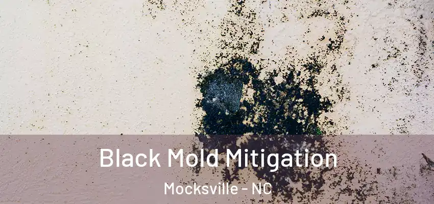  Black Mold Mitigation Mocksville - NC