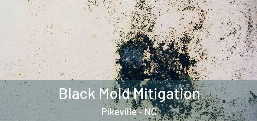  Black Mold Mitigation Pikeville - NC