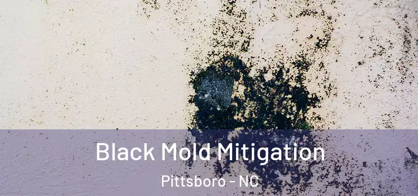 Black Mold Mitigation Pittsboro - NC
