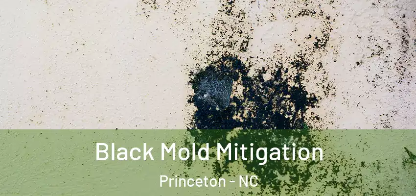 Black Mold Mitigation Princeton - NC